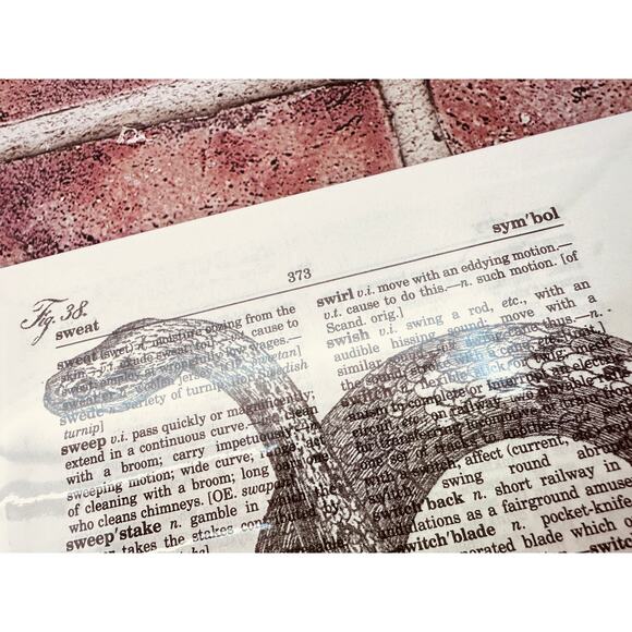 SNAKES & BAT Theme - Upcycled Dictionary Art Prints - Lot of 3 - Mini Poster Set - Picture 9 of 10